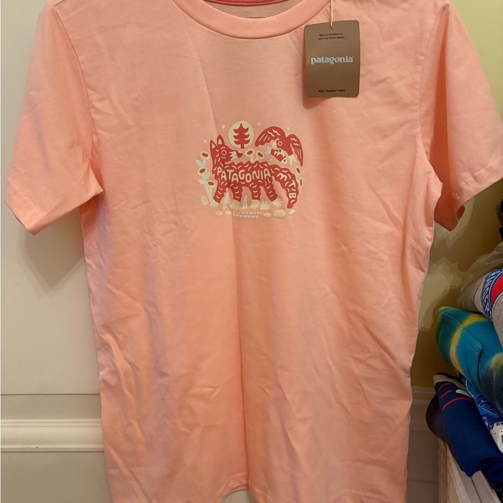 Patagonia Kids Light Pink Graphic Tee